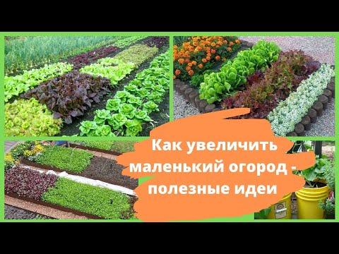 Как увеличить маленький огород - полезные идеи